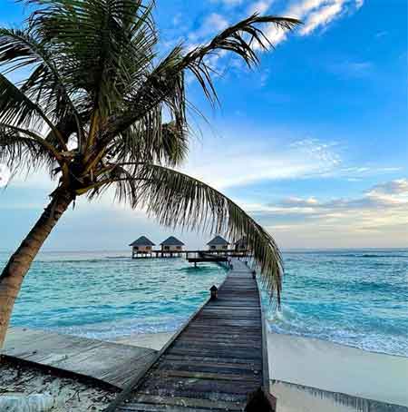 دانلود آهنگ حکم تنهائی محمدرضا کریمی